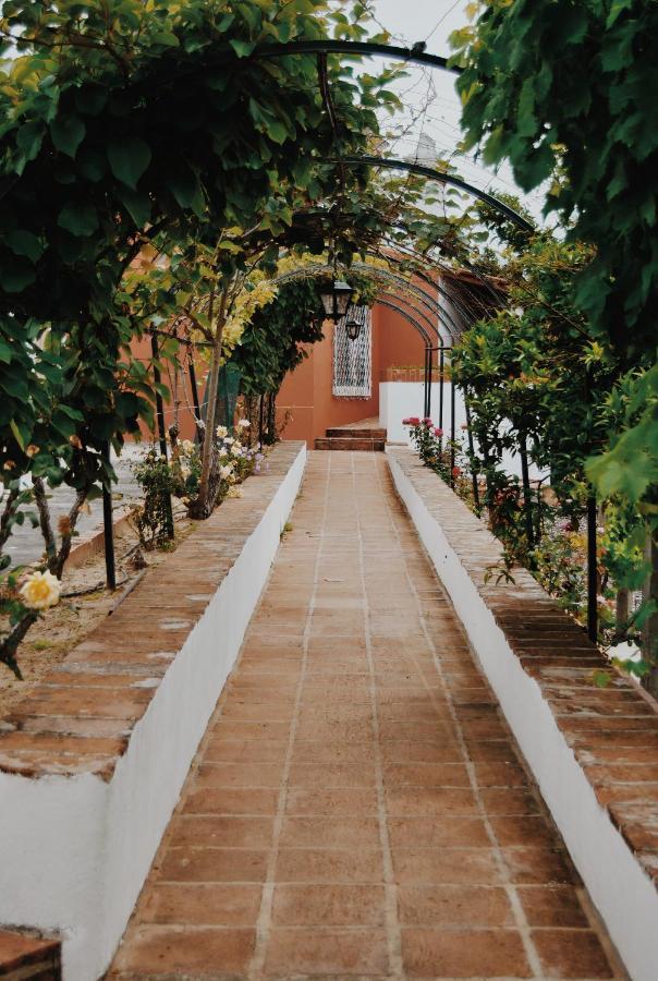 Quinta De Sao Pedro De Tomar Villa Bagian luar foto