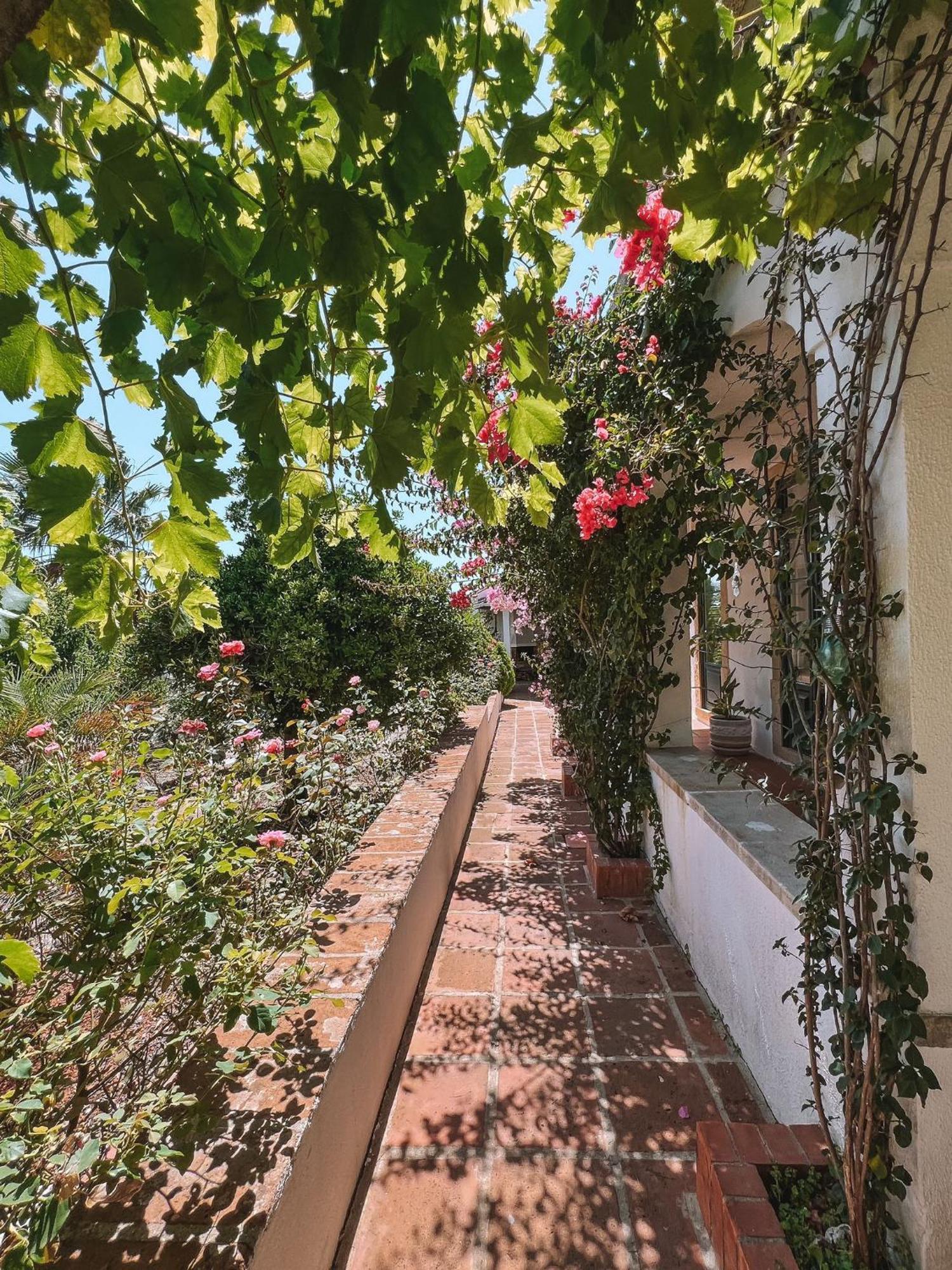 Quinta De Sao Pedro De Tomar Villa Bagian luar foto